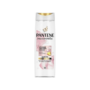 PANTENE ROSE WATER LIFT&VOL 300ml