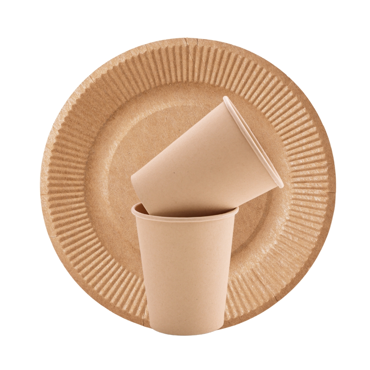 Picture for category Disposable Tableware